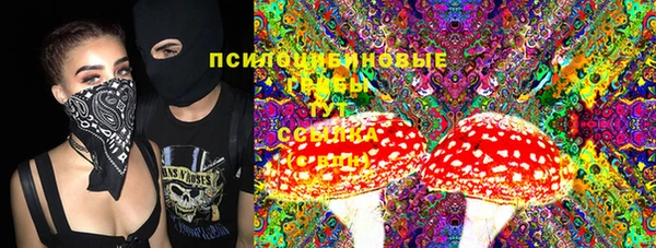 не бодяженный Медвежьегорск