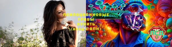 не бодяженный Мегион